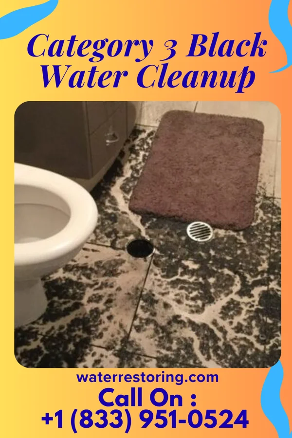 Category 3 Black Water Cleanup in Fort Loramie, OH