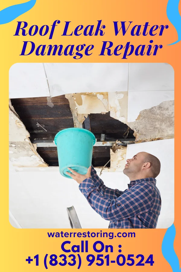Roof Leak Water Damage Repair in Fort Loramie, OH