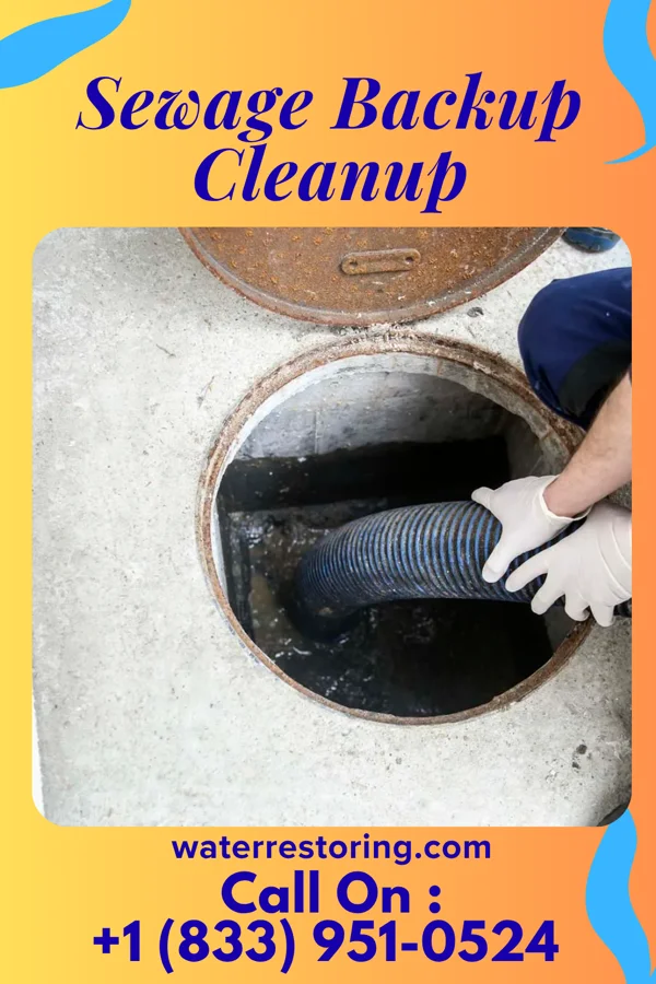Sewage Backup Cleanup in Fort Loramie, OH