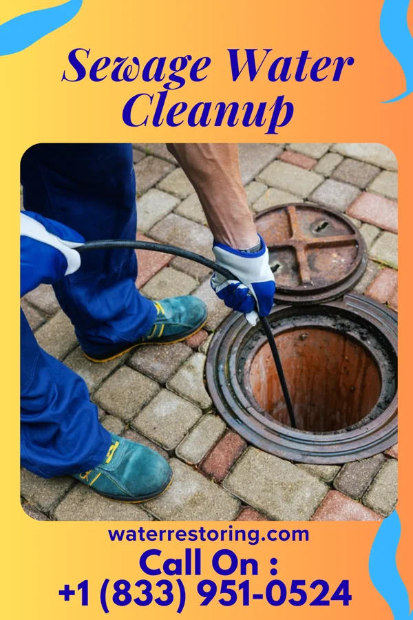 Sewage Water Cleanup in Fort Loramie, OH