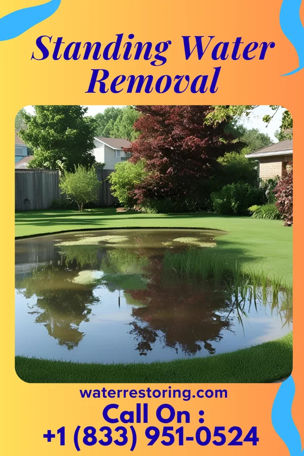Standing Water Removal in Fort Loramie, OH